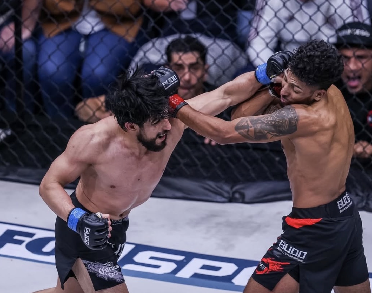 Alex Bringas conectando un golpe de poder dentro de la jaula de Budo Sento